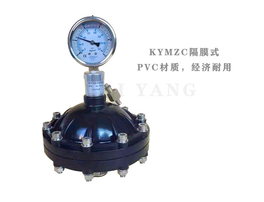 KYMZ隔膜式脉冲阻尼器1