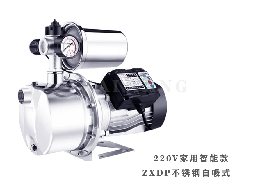 ZXD单相自吸式离心泵2