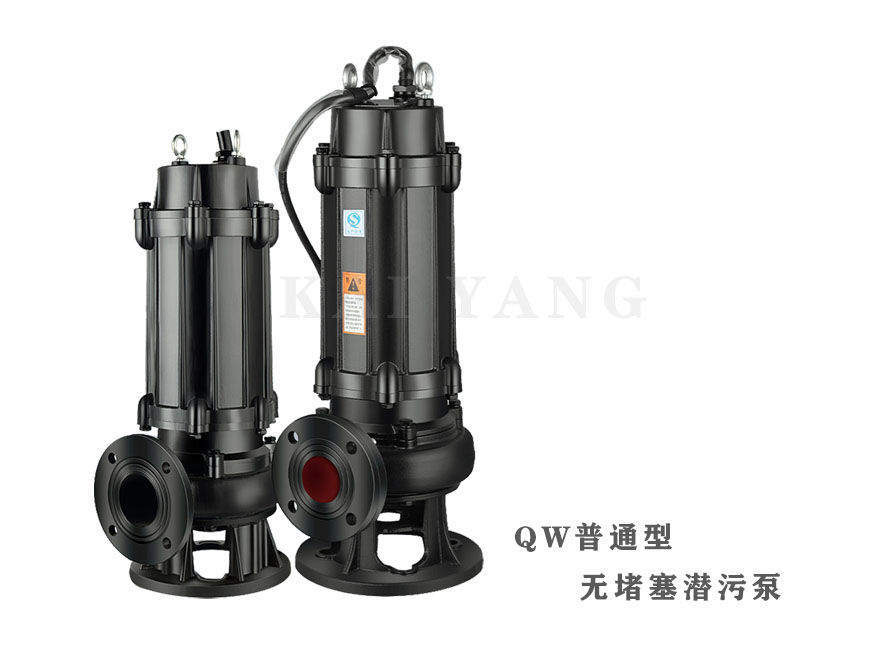 QW铸铁污水潜水泵1