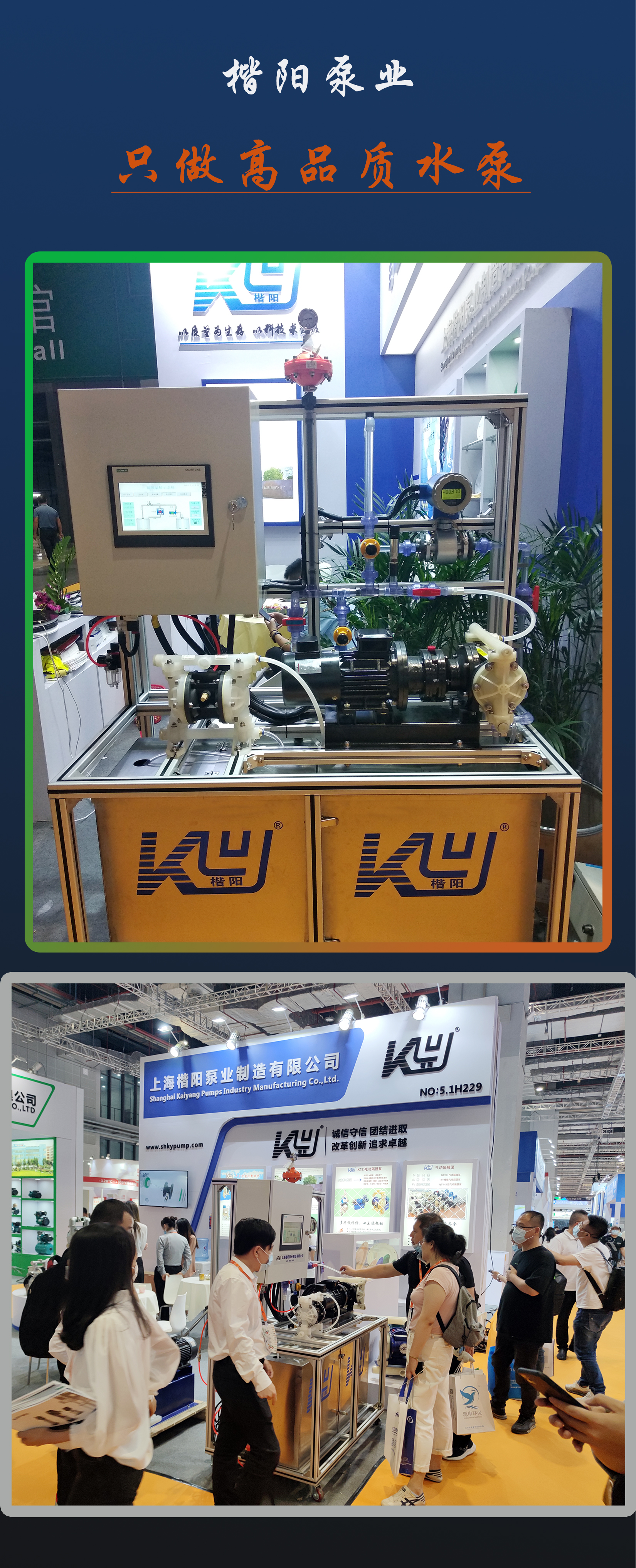 新网站展会10