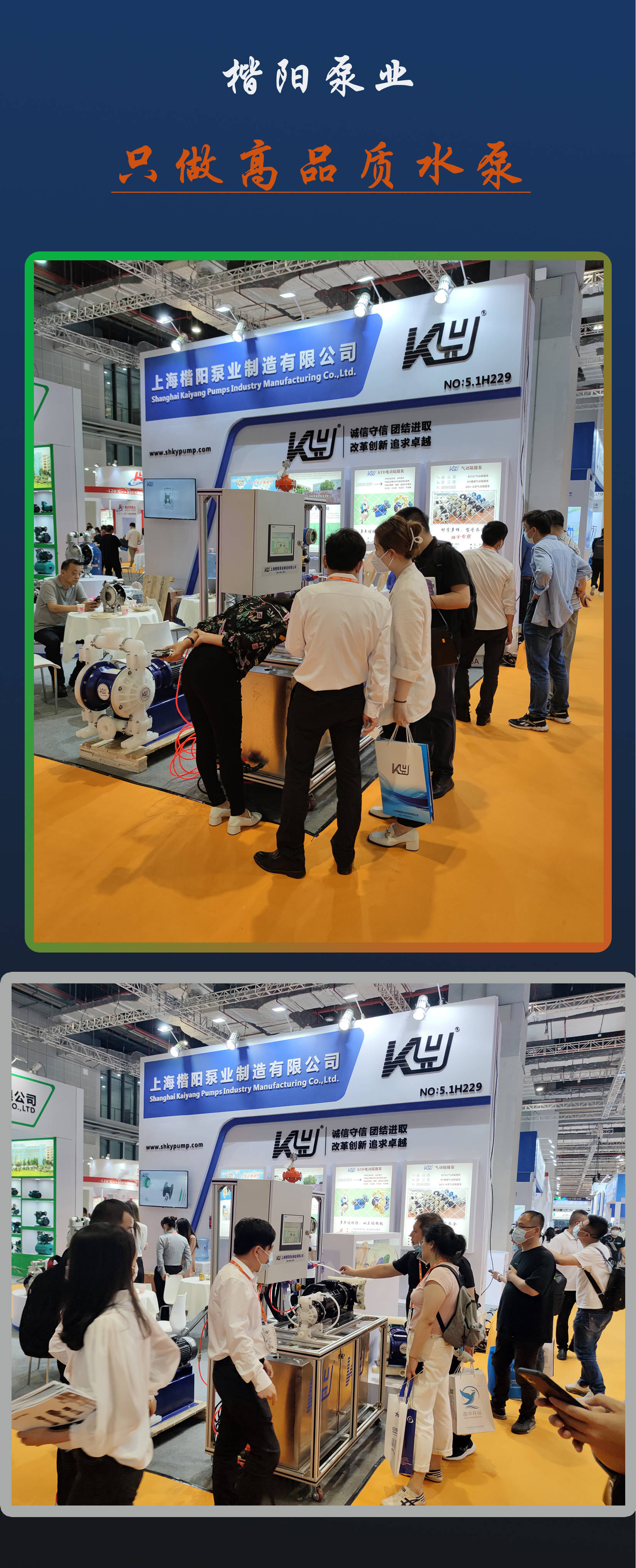 新网站展会8