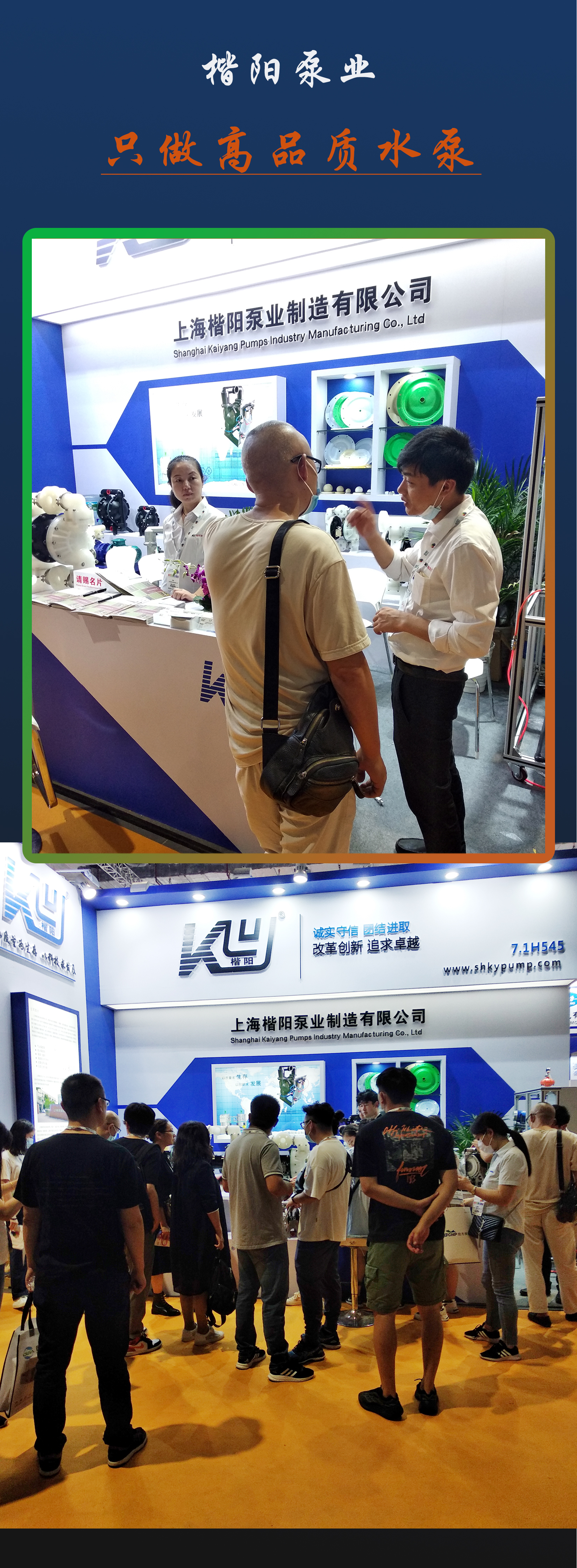 新网站展会2