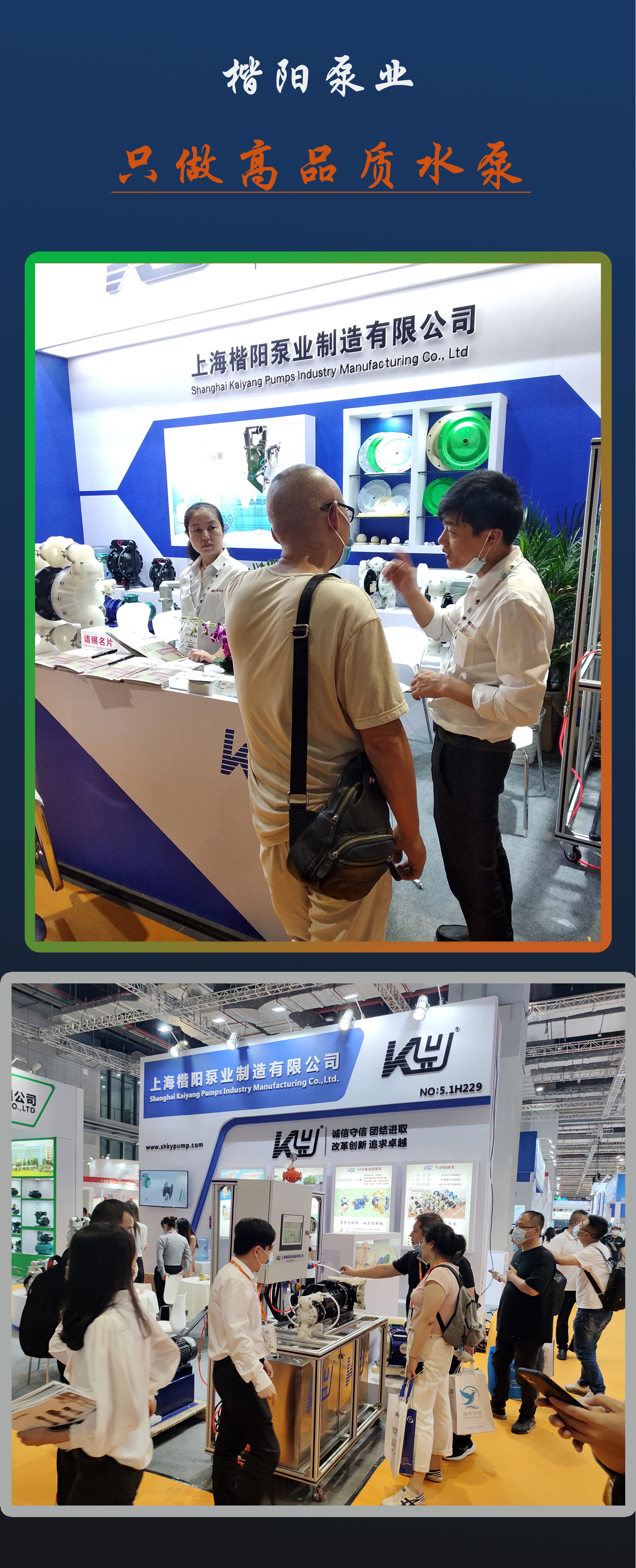 新网站展会11