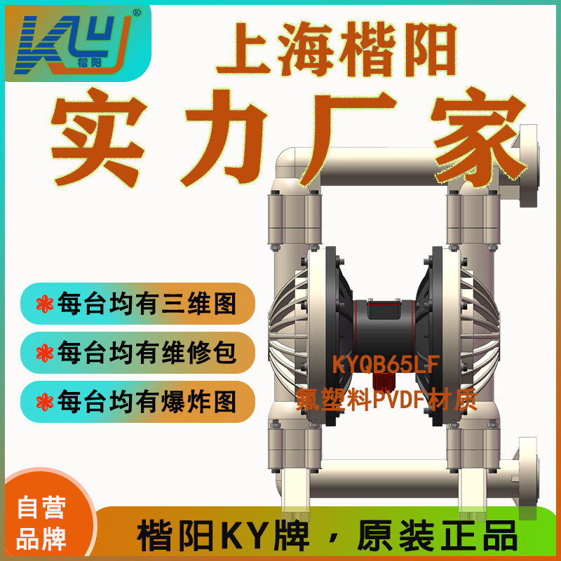 KYQ实用款-氟塑料气动泵视频介绍